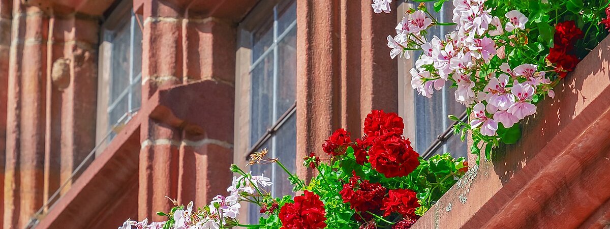 Nahaufnahme von einem Rathaus